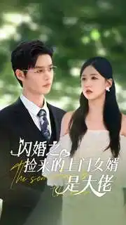 10894-闪婚之捡来的上门女婿是大佬（79集）