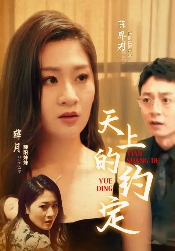 11008-天上的约定（24集）