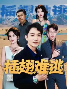 11397-插翅难逃（43集）