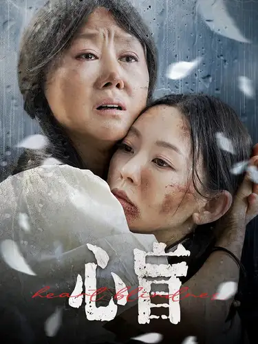 11569-心盲（100集）