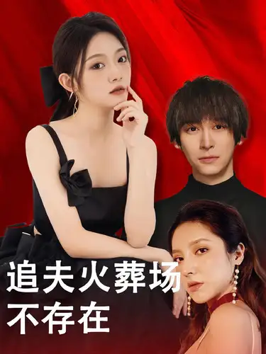 11570-追夫火葬场不存在（100集）