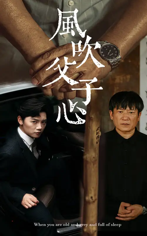 11572-风吹父子心（65集）