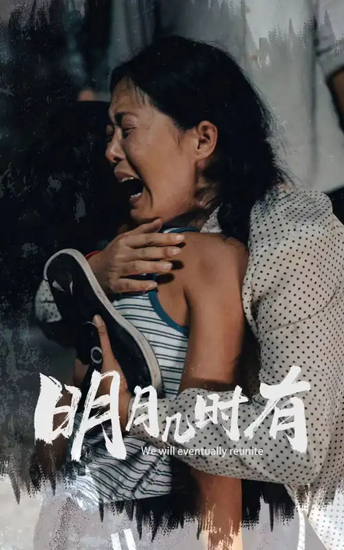 11573-明月几时有（40集）