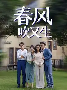 11817-春风吹又生（56集）