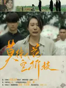 11847-莫待无花空折枝（75集）