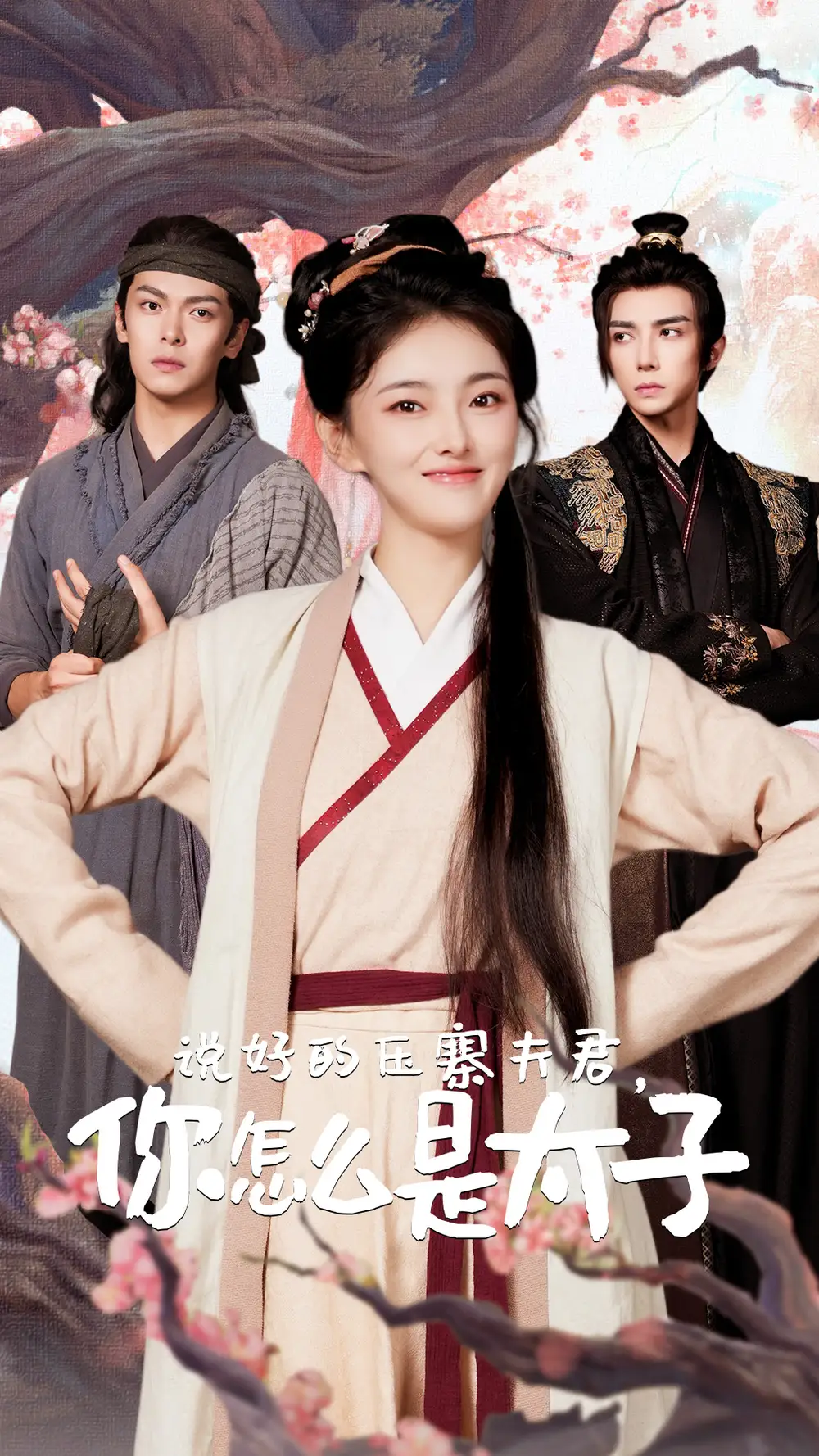 12086-说好的压寨夫君，你怎么是太子（65集）