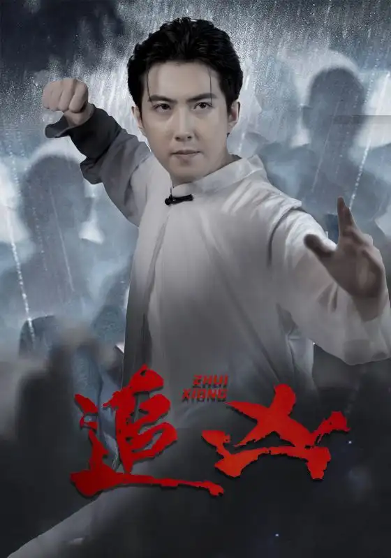 12090-追凶（35集）