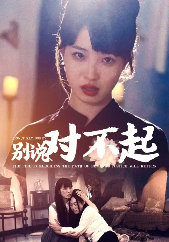 12095-别说对不起（35集）