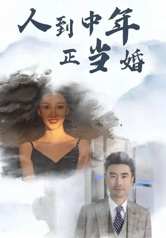 12552-人到中年正当婚（81集）