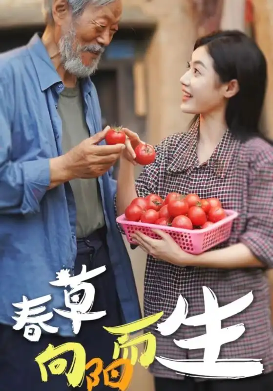 12701-春草向阳而生（53集）