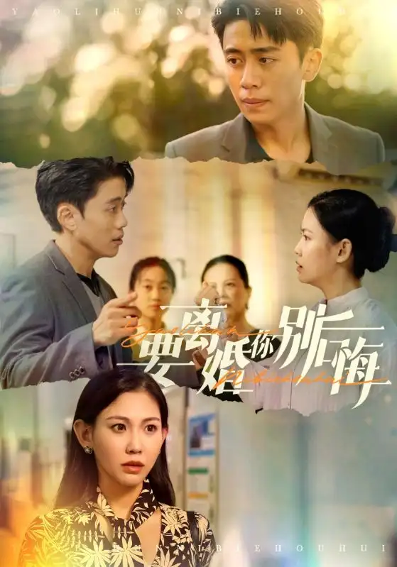 12733-要离婚你别后悔（34集）赵珞姿