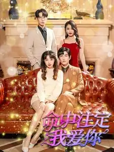 13.命中注定我爱你（99集）