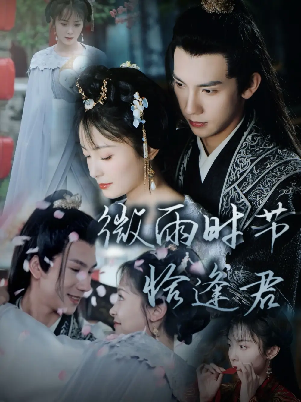 13146-微雨时节恰逢君（82集）马法洋 宋美萱