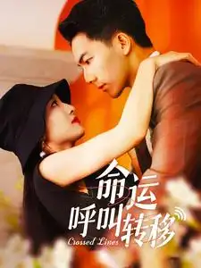 13158-命运呼叫转移（100集）
