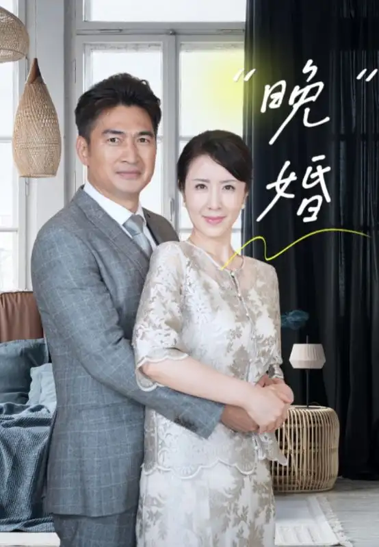 13259-晚婚（65集）刘美希