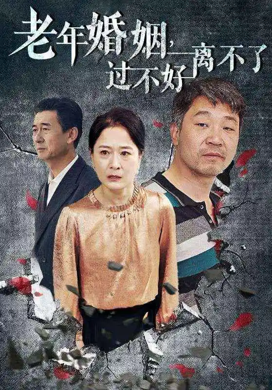 13303-老年婚姻过不好离不了（50集）