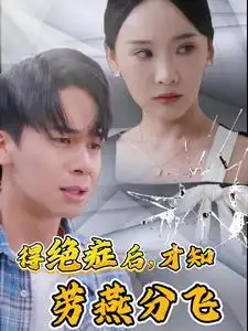 13306-得绝症后，才知劳燕分飞（31集）