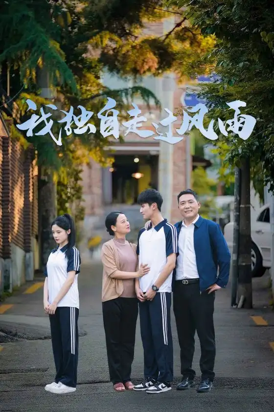 13330-我独自走过风雨（36集）