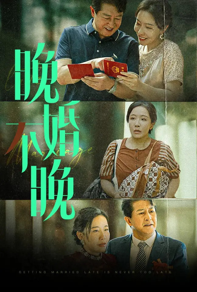 13422-晚婚不晚（30集）