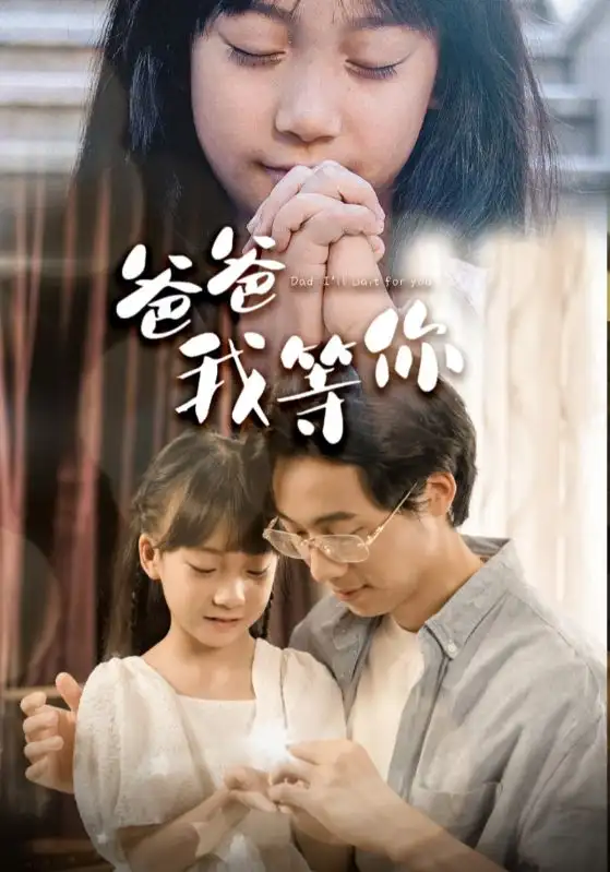 13540-爸爸我等你（37集）