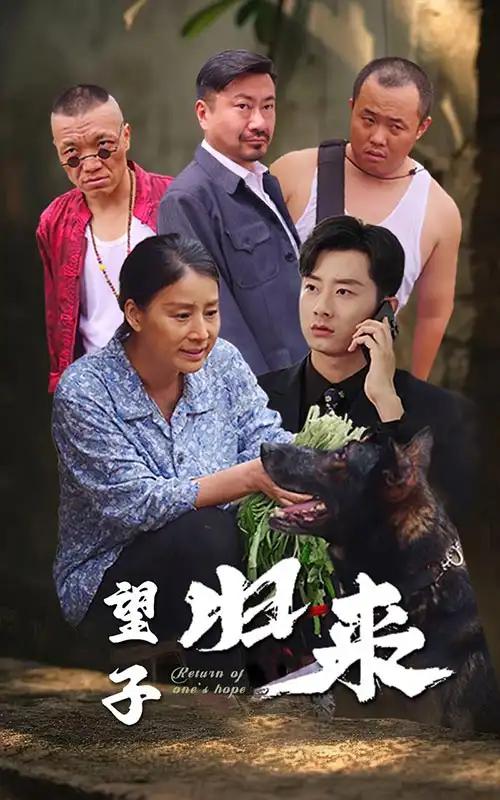 13549-望子归来（50集）