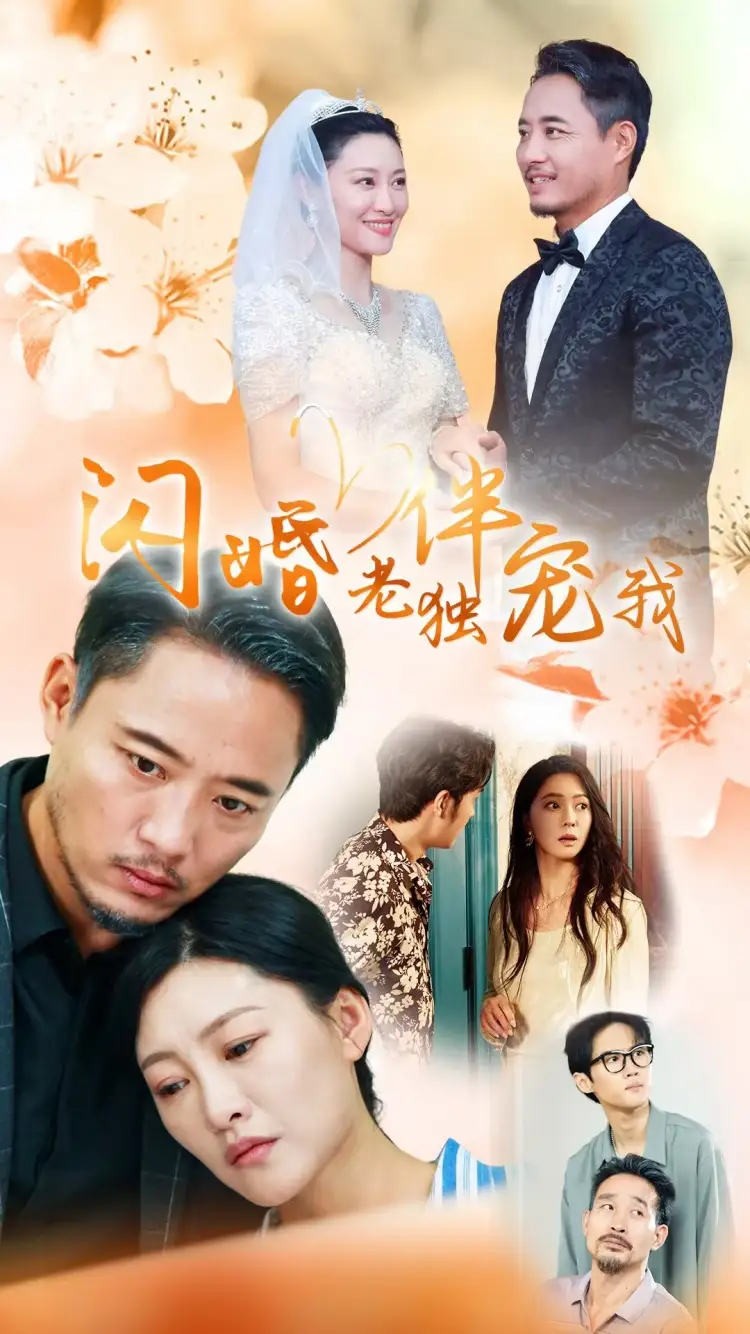 13566-再婚伴侣老来福（70集）