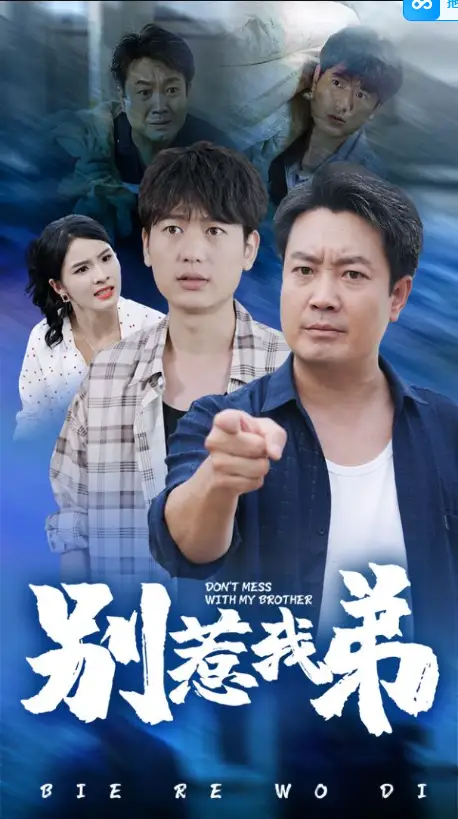 13773-别惹我弟（60集）