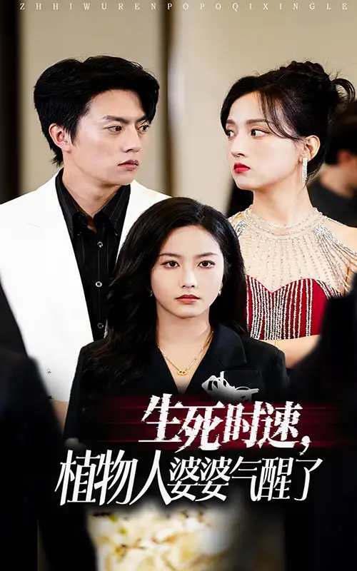 13822-生死时速植物人婆婆气醒了（37集）