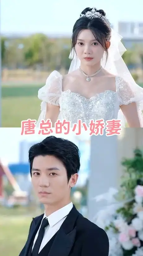 13859-唐总的小娇妻（89集）彭瑶