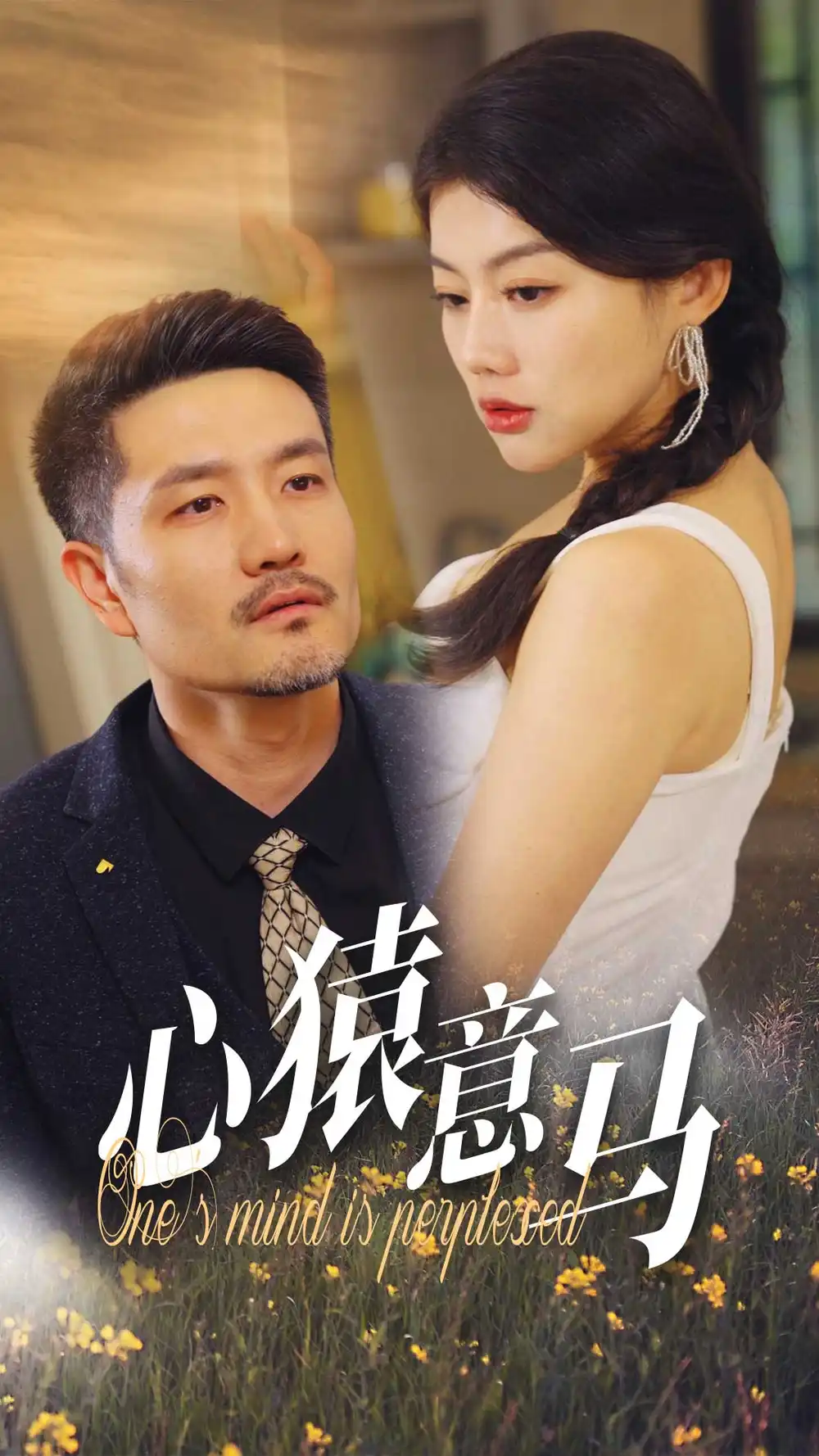13915-心猿意马（30集）