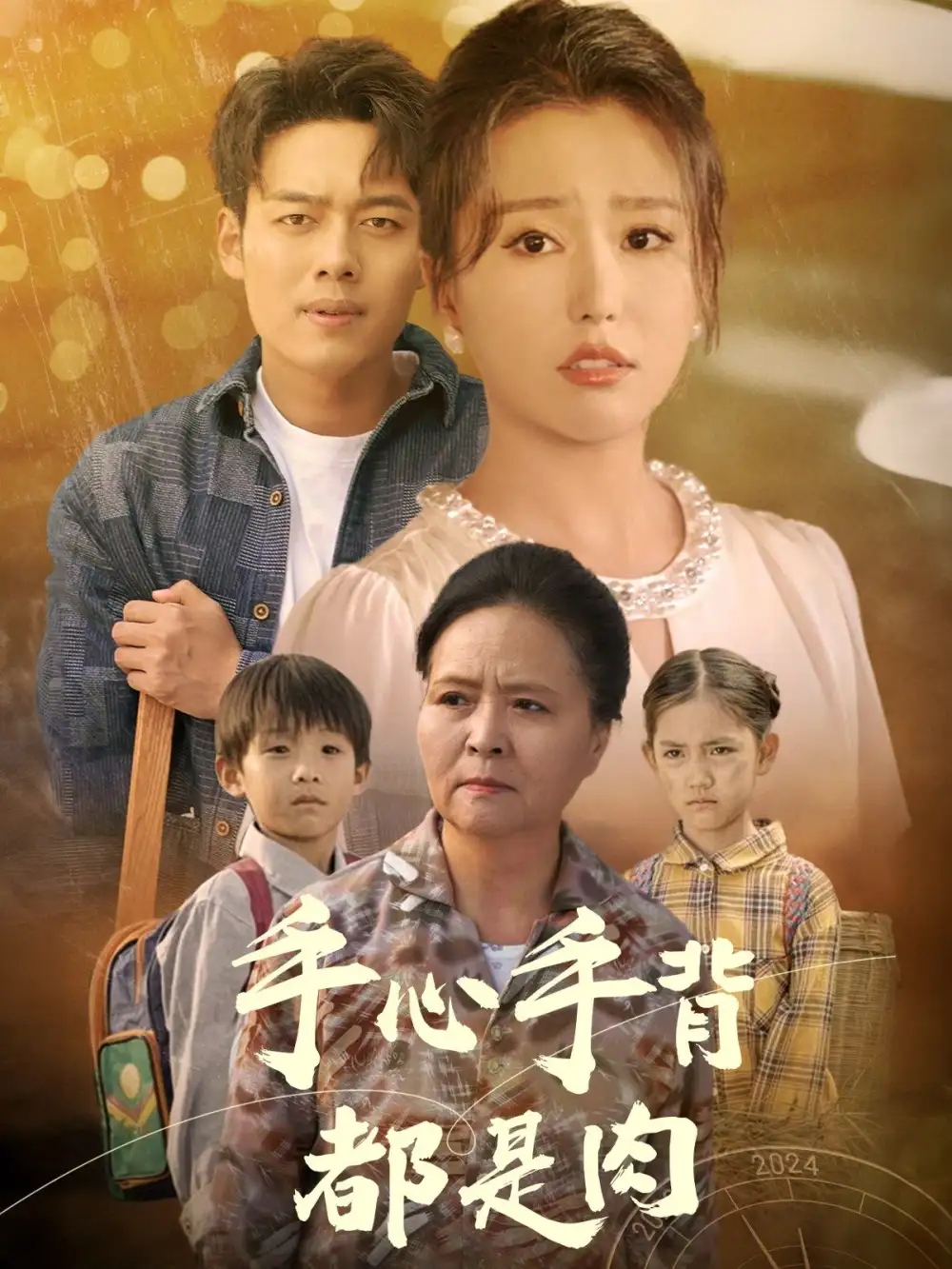 13945-手心手背都是肉（80集）
