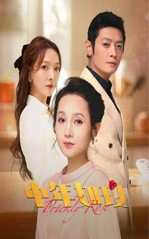 14028-中年如玫（68集）