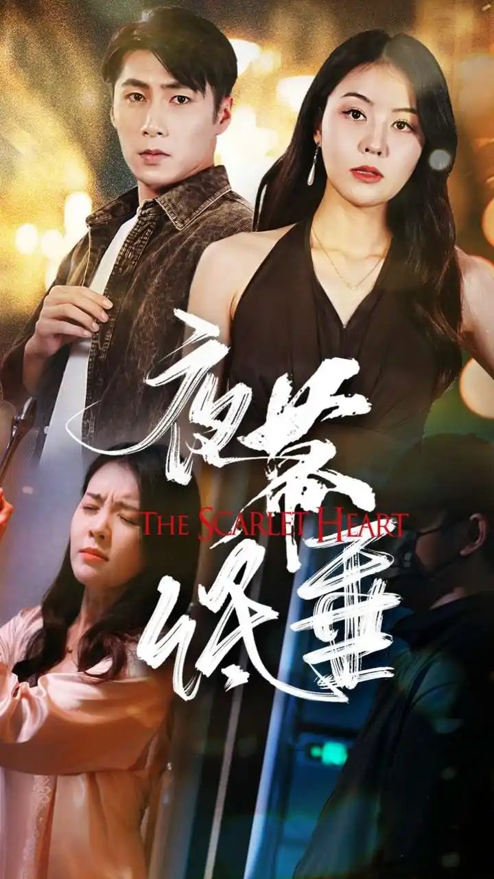 14104-夜幕低垂（37集）