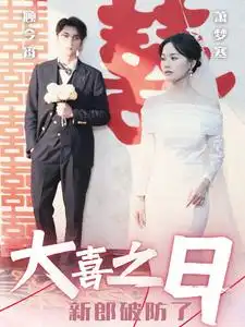 14145-大喜之日新郎破防了（31集）