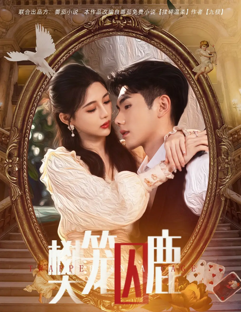 14248-樊笼囚鹿&偏执大佬的金丝雀（60集）