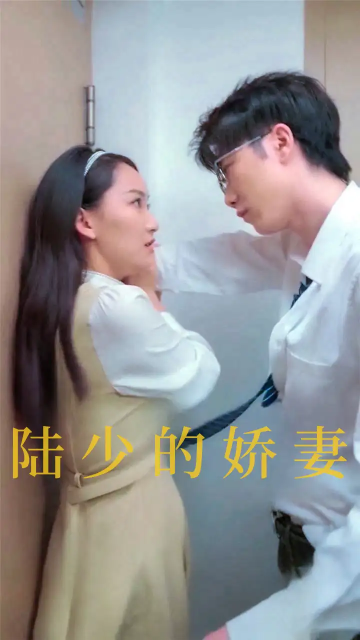 14503-陆少的娇妻（100集）