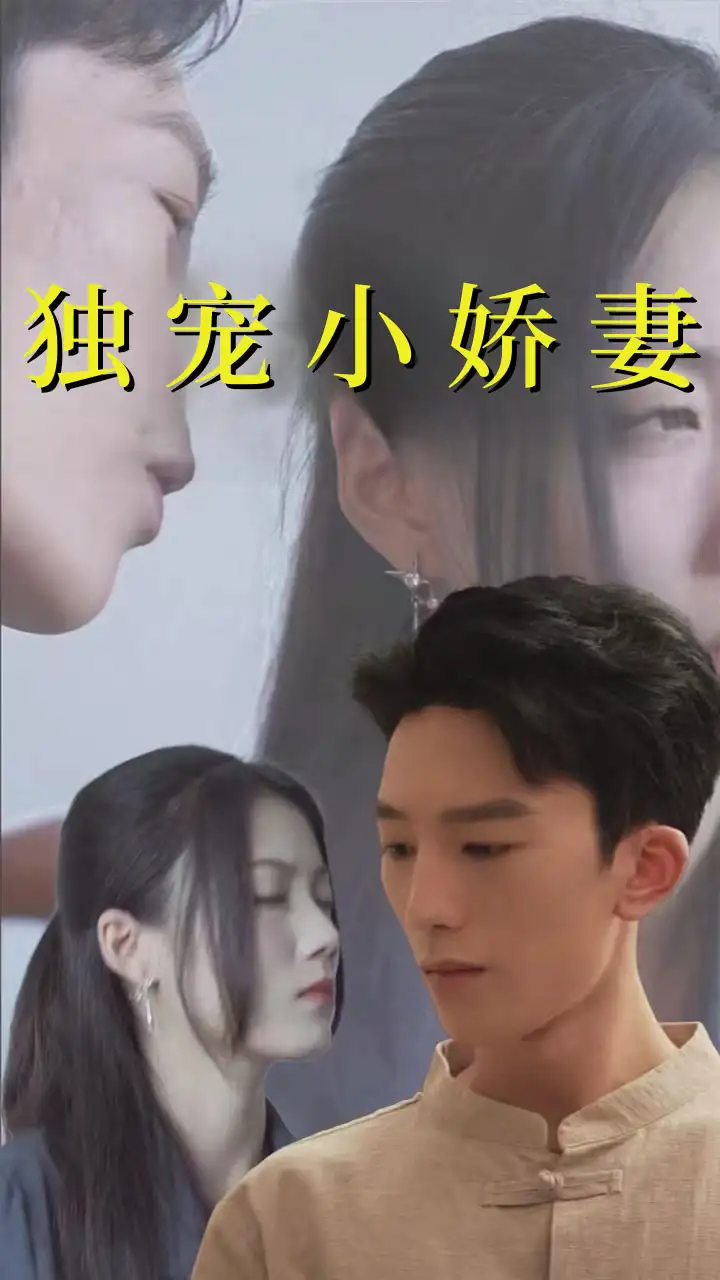 14545-独宠小娇妻（101集）