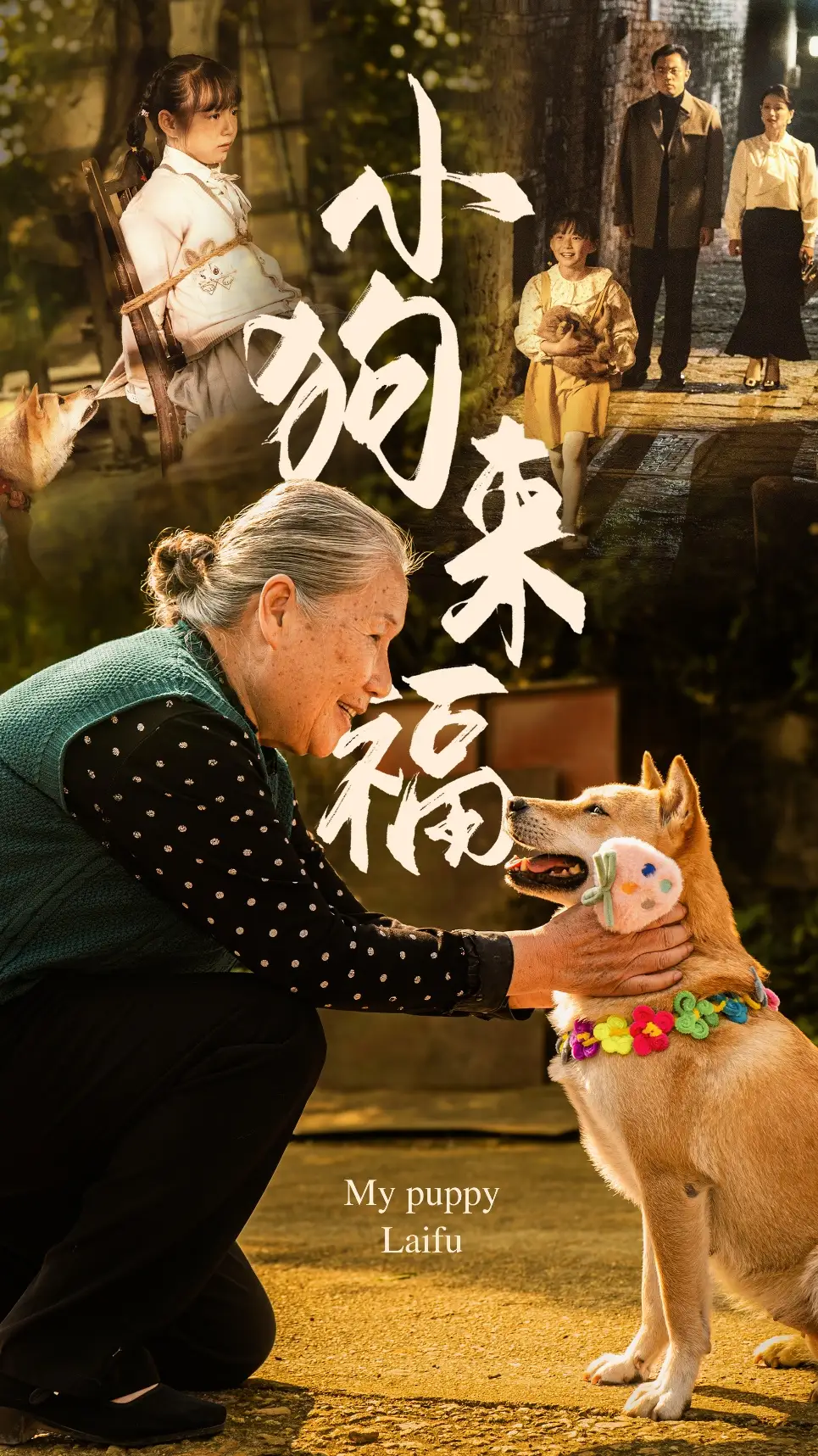 14600-小狗来福（30集）