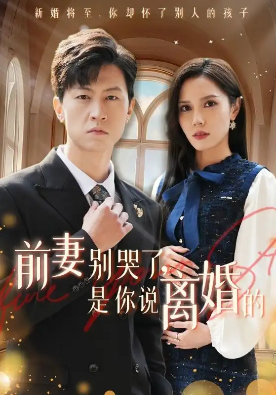 14742-前妻别哭了是你说离婚的（42集）陈舒琪