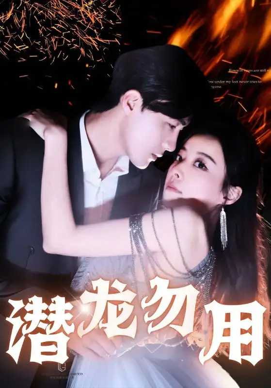 15529-潜龙勿用（87集）