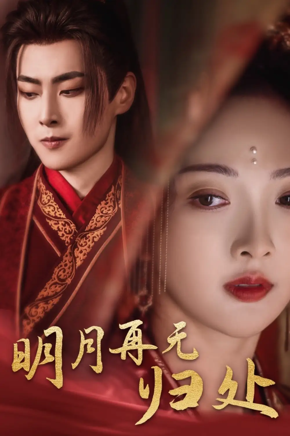 15617-明月再无归处（39集）展轩＆丁果