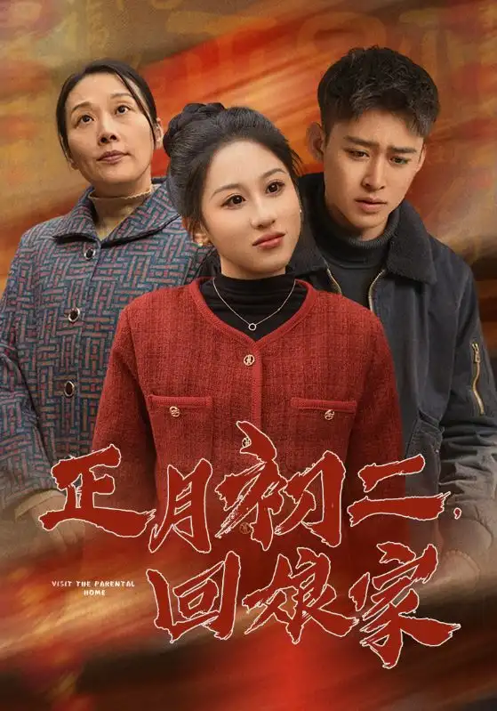 15687-正月初二回娘家（41集）