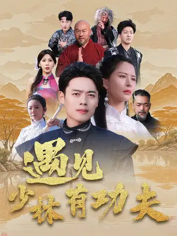 15717-遇见少林有功夫（36集）韩傲天