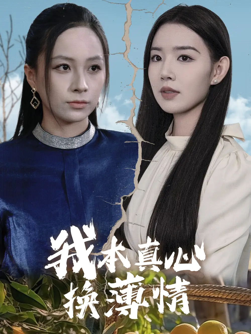 15897-我本真心换薄情（49集）