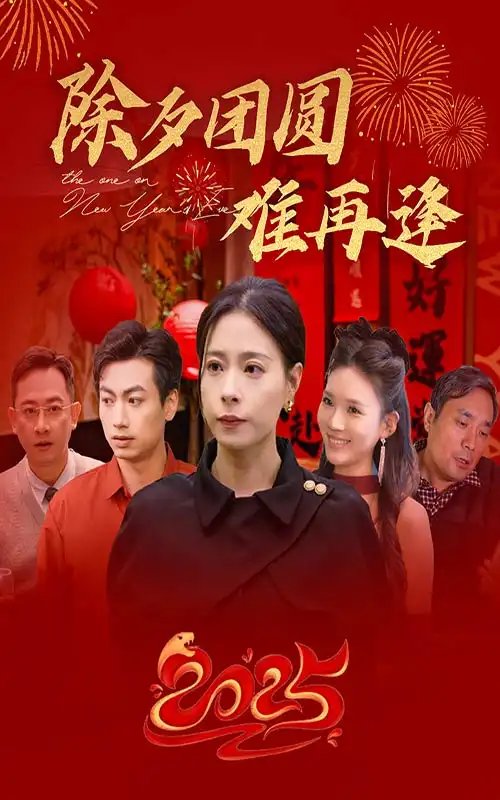 15900-除夕团圆难再逢（54集）