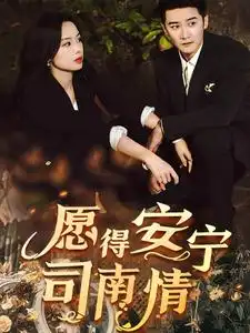 16308-愿得安宁司南晴（76集）