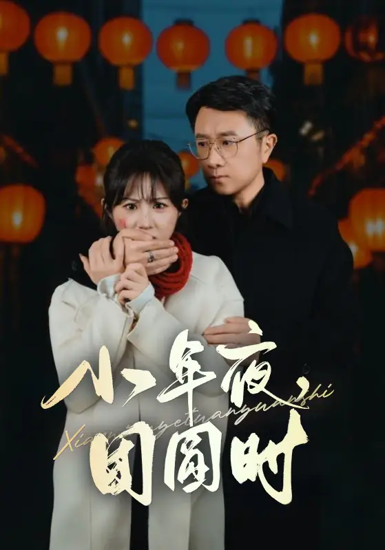 16581-小年夜团圆时& 小年夜万家灯火没有我（35集）魏家乐