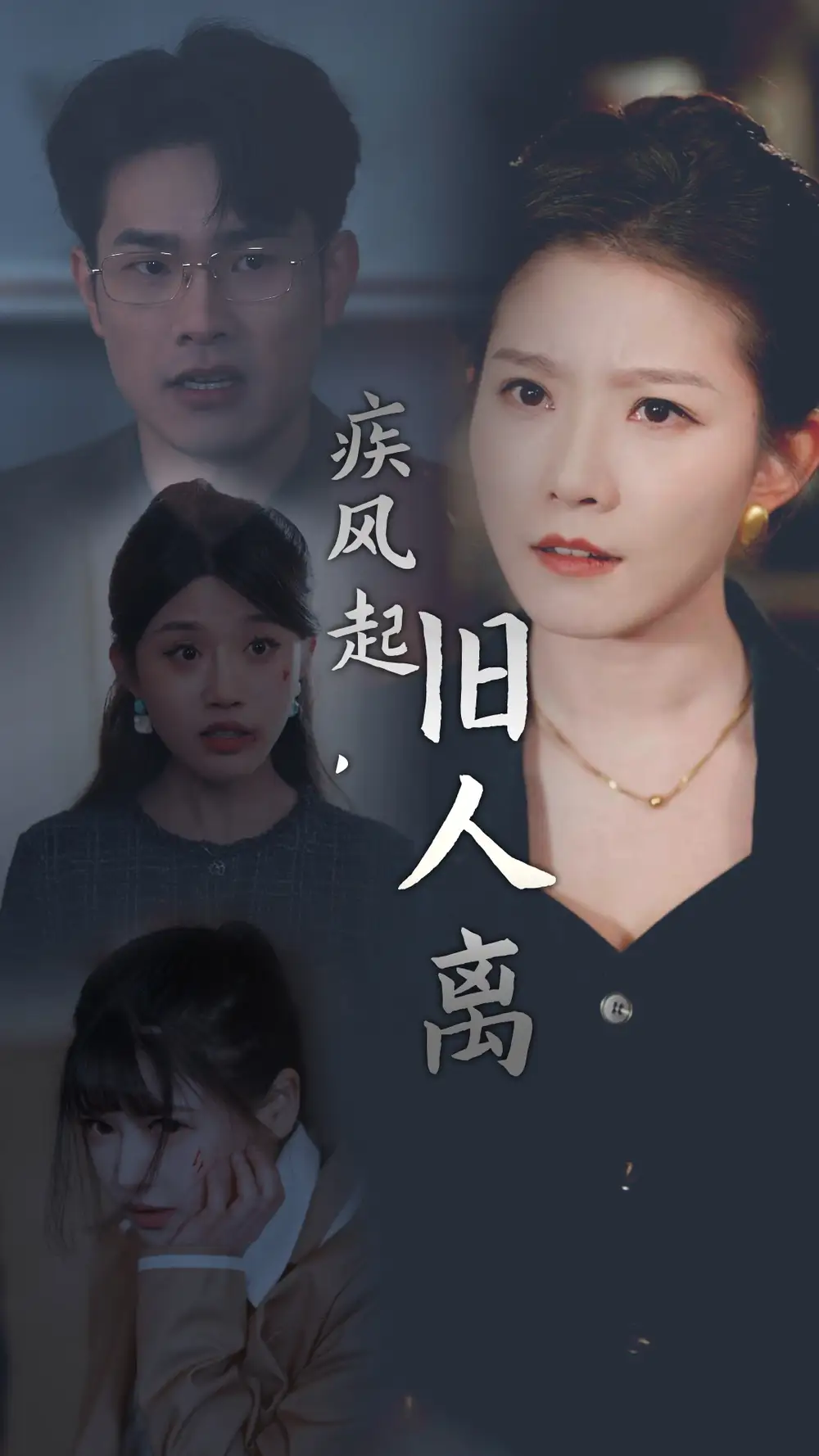 16585-疾风起旧人离（32集）