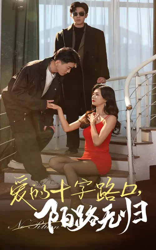 16601-爱的十字路口陌路无归（35集）张北淅&程美华