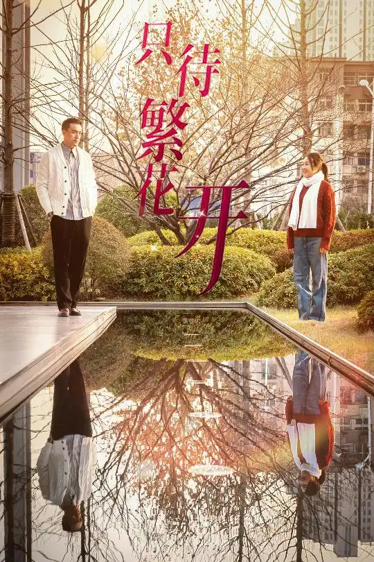 16610-只待繁花开（35集）